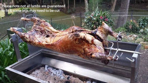 1200 Stainless Steel Spartan Spit Roaster - Stoves & Cooktops - Flaming Coals - Hunter Valley Heating 