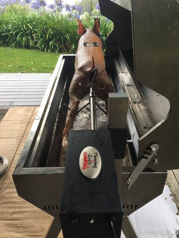 1500 Stainless Steel Hooded Spartan Spit Roaster - Stoves & Cooktops - Flaming Coals - Hunter Valley Heating 