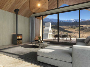 VisionLINE Phoenix wood stove with glass door and metal finish, designed for efficient wood-burning fireplace heating.